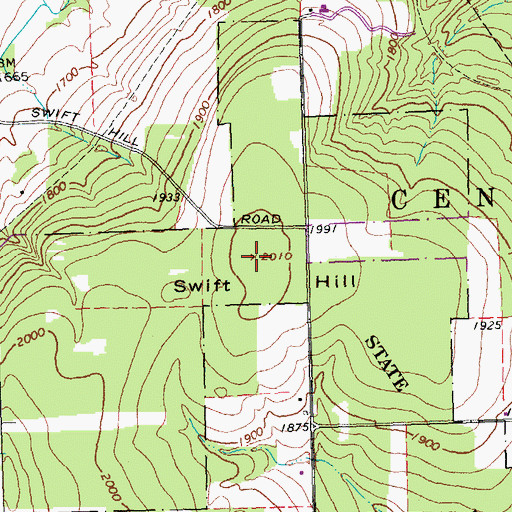 Topographic Map of Swift Hill, NY
