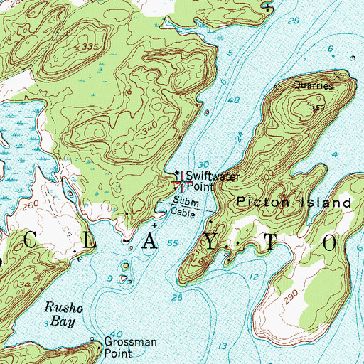 Topographic Map of Swiftwater Point, NY