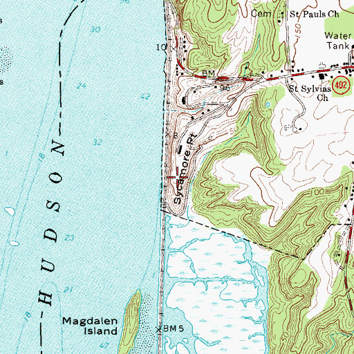 Topographic Map of Sycamore Point, NY