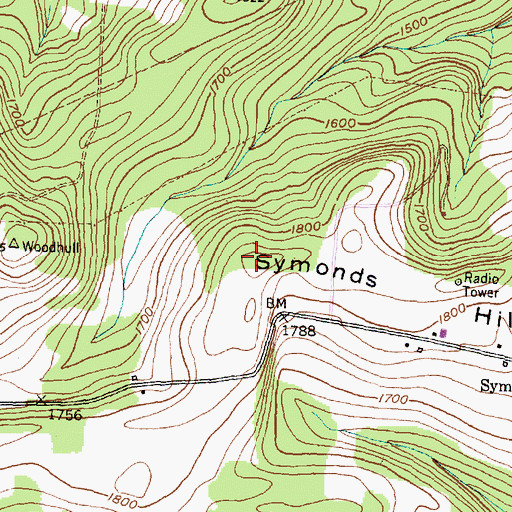 Topographic Map of Symonds Hill, NY