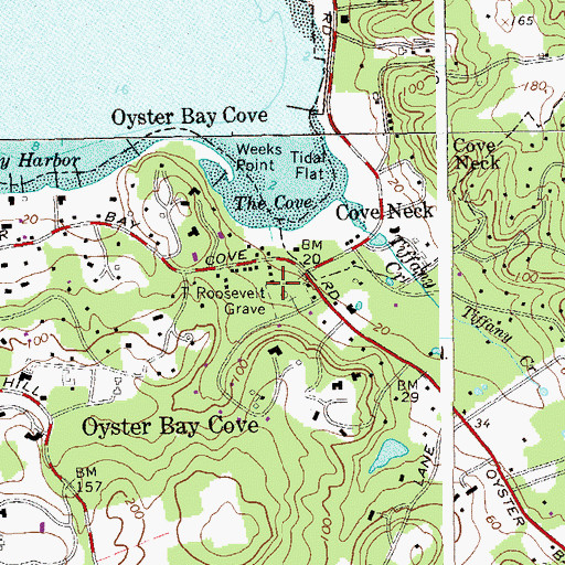 Topographic Map of Theodore Roosevelt Grave, NY