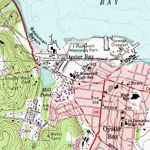 Topographic Map of Theodore Roosevelt High School, NY