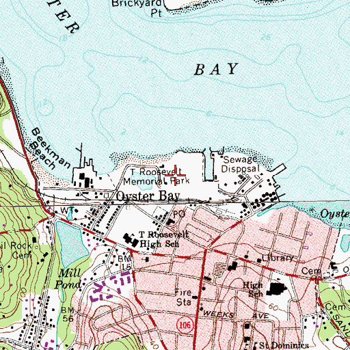 Topographic Map of Theodore Roosevelt Memorial Park, NY