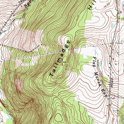 Topographic Map of Tallmadge Hill, NY