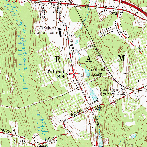 Topographic Map of Cherry Lane Elementary School, NY
