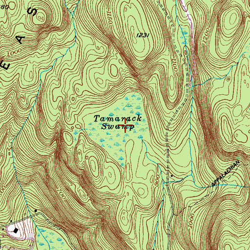 Topographic Map of Tamarack Swamp, NY
