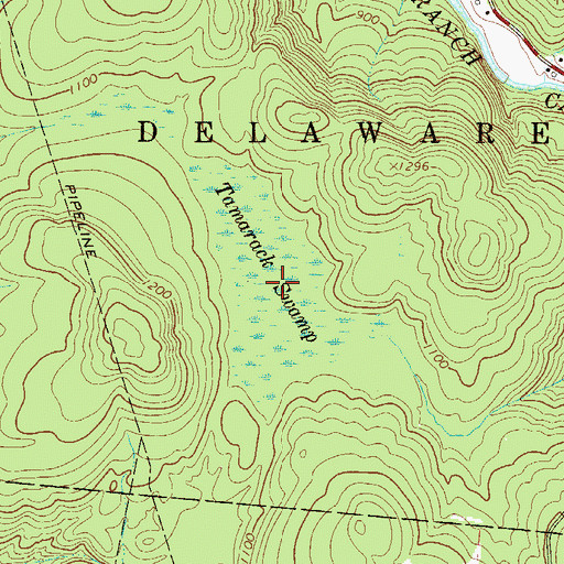Topographic Map of Tamarack Swamp, NY