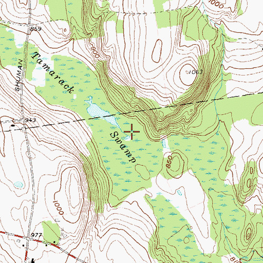 Topographic Map of Tamarack Swamp, NY