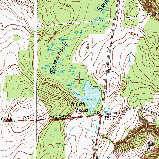 Topographic Map of Tamarack Swamp, NY