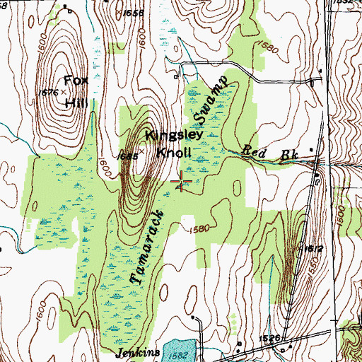 Topographic Map of Tamarack Swamp, NY