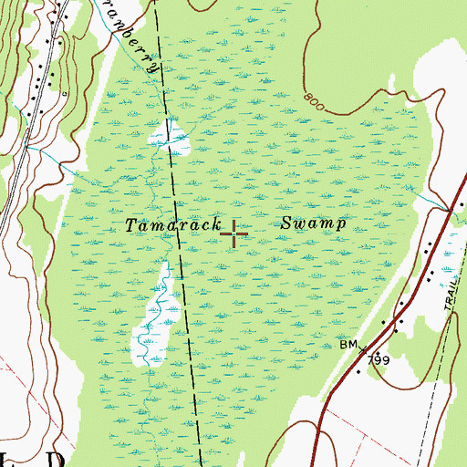 Topographic Map of Tamarack Swamp, NY