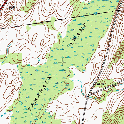 Topographic Map of Tamarack Swamp, NY