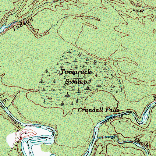 Topographic Map of Tamarack Swamp, NY