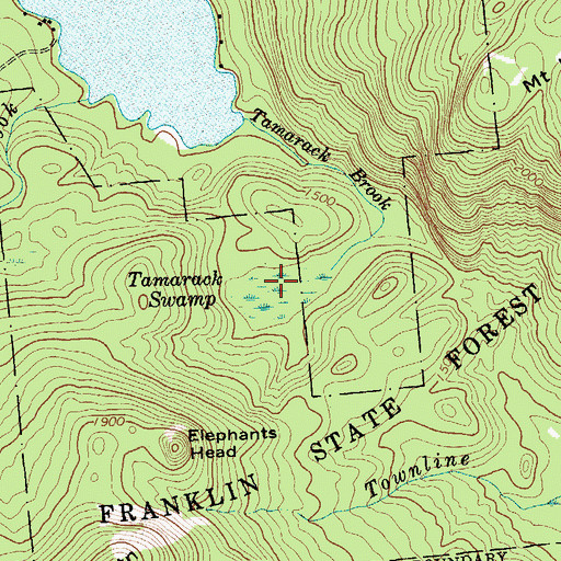 Topographic Map of Tamarack Swamp, NY