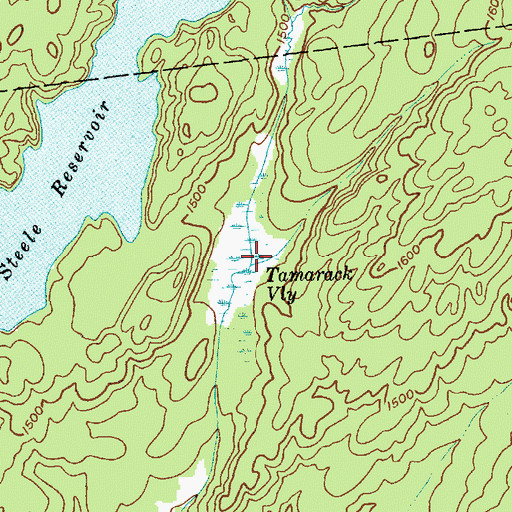 Topographic Map of Tamarack Vly, NY