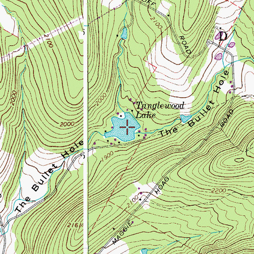 Topographic Map of Tanglewood Lake, NY