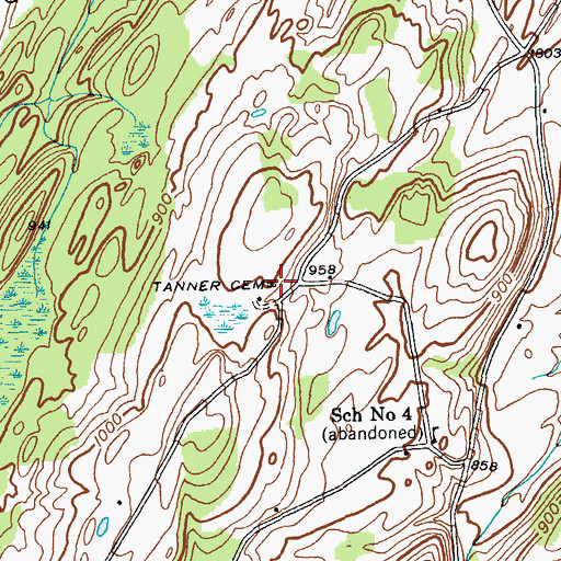 Topographic Map of Tanner Cemetery, NY