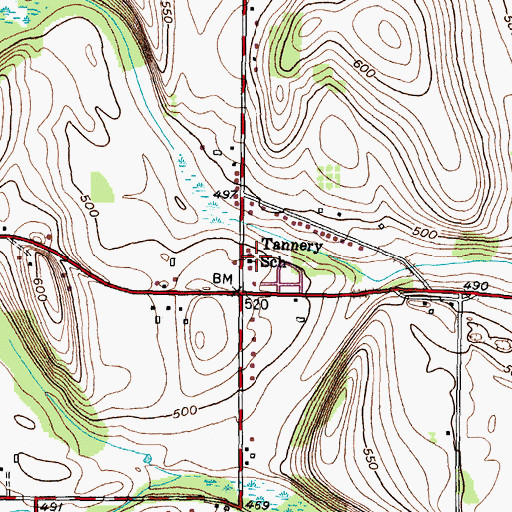 Topographic Map of Tannery School, NY