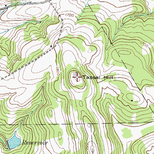 Topographic Map of Tassel Hill, NY