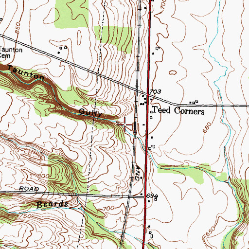 Topographic Map of Taunton Gully, NY