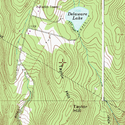 Topographic Map of Taylor Hill, NY