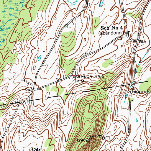 Topographic Map of Taylor Hill Cemetery, NY