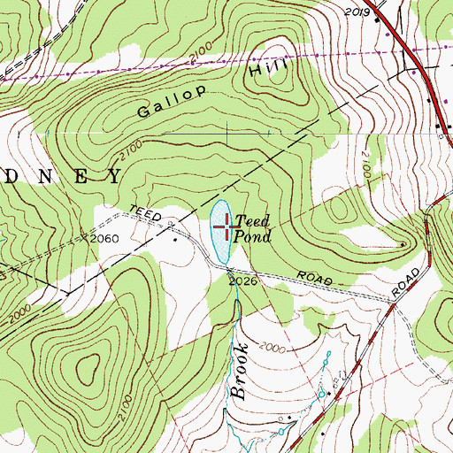 Topographic Map of Teed Pond, NY