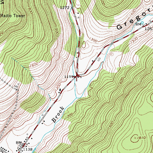 Topographic Map of Telford Hollow, NY