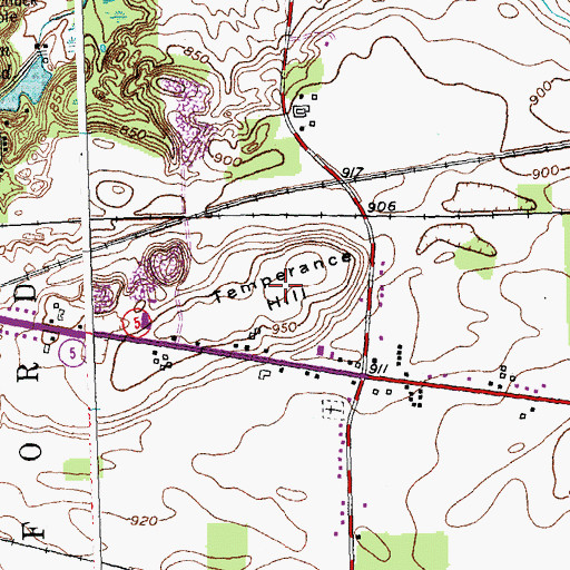 Topographic Map of Temperance Hill, NY
