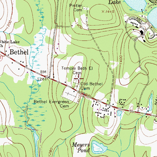 Topographic Map of Temple Beth El Cemetery, NY