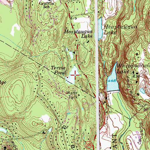 Topographic Map of Tercia Pond, NY