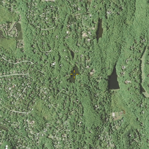 Aerial/Satellite Image of Tercia Pond, NY