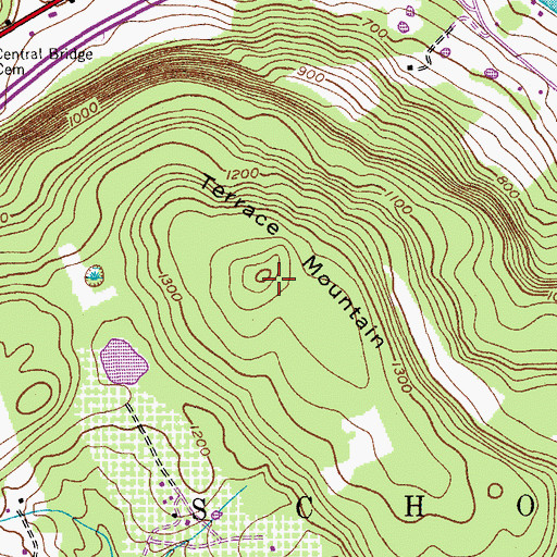 Topographic Map of Terrace Mountain, NY