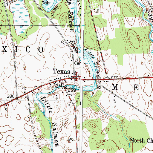 Topographic Map of Texas, NY