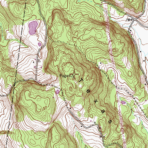 Topographic Map of Texas Hill, NY