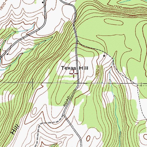 Topographic Map of Texas Hill, NY