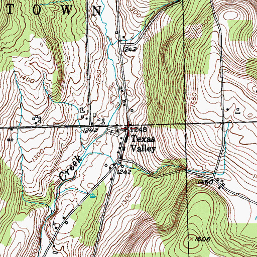 Topographic Map of Texas Valley, NY