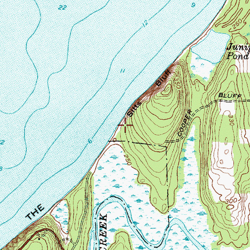 Topographic Map of The Bluffs, NY