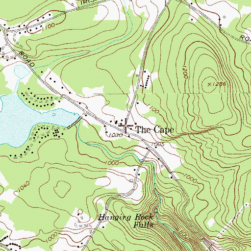 Topographic Map of The Cape, NY