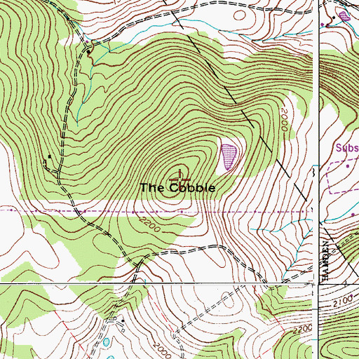 Topographic Map of The Cobble, NY
