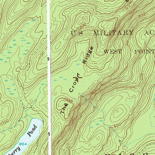 Topographic Map of The Crown Ridge, NY