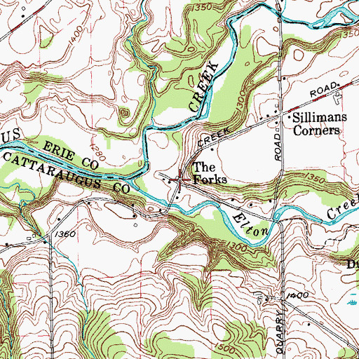 Topographic Map of The Forks, NY