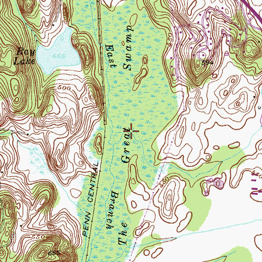 Topographic Map of The Great Swamp, NY