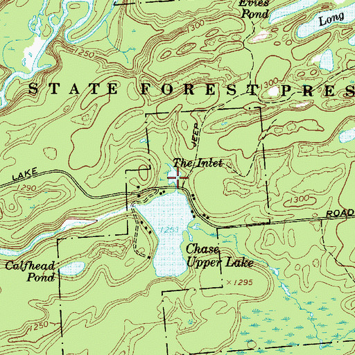 Topographic Map of The Inlet, NY