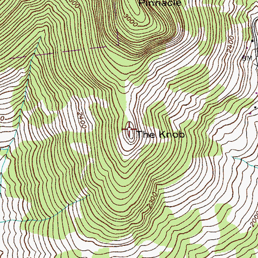 Topographic Map of The Knob, NY