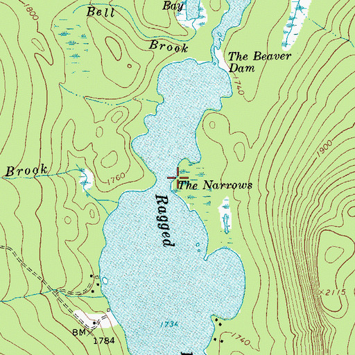 Topographic Map of The Narrows, NY