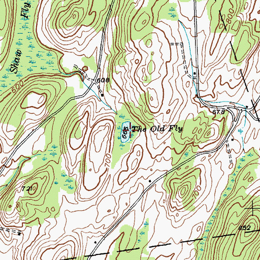 Topographic Map of The Old Fly, NY