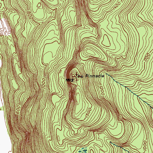 Topographic Map of The Pinnacle, NY