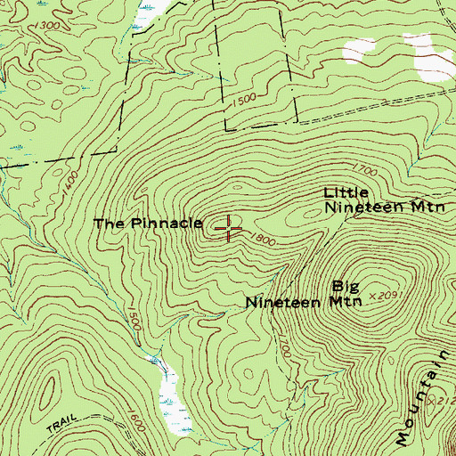 Topographic Map of The Pinnacle, NY