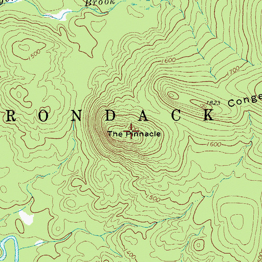 Topographic Map of The Pinnacle, NY